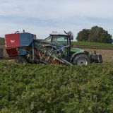 Les pertes d'azote et de phosphore dans l'agriculture suisse sont toujours trop élevées par rapport aux objectifs environnementaux définis par la Confédération (image d'illustration). KEYSTONE/CHRISTIAN BEUTLER
